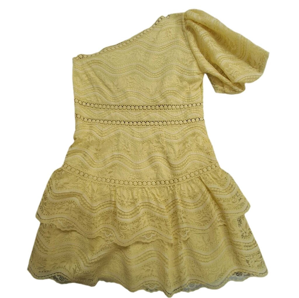 Saylor 1 shoulder lace cocktail dress