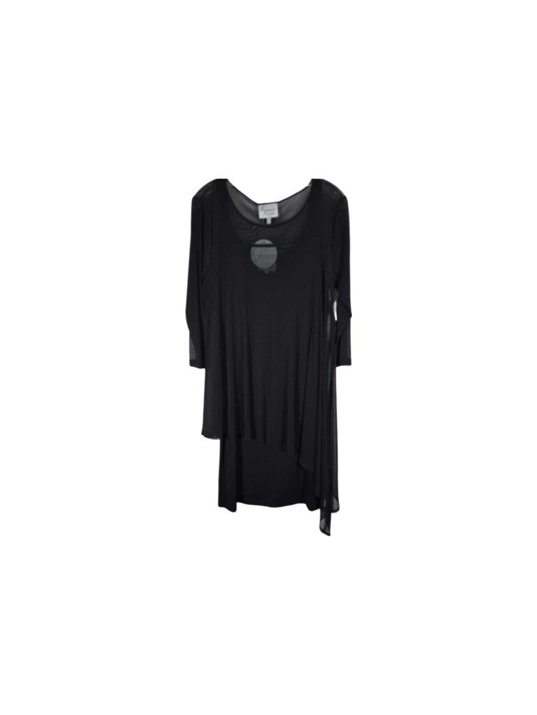 Lynne Ritchie long sleeve knit dress/sheer overlay