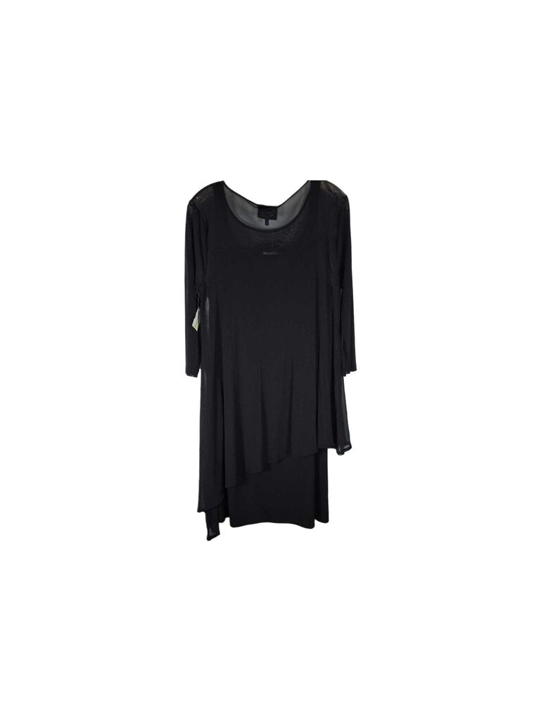 Lynne Ritchie long sleeve knit dress/sheer overlay